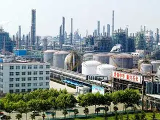 yangzi